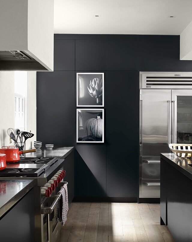 Benjamin Moore ADVANCE Satin paint in Black Tar