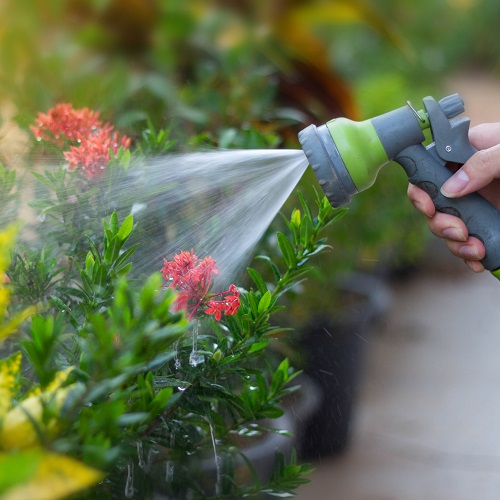 Watering & Irrigation 