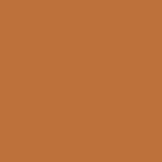 Benjamin Moore Peruvian Chili (CSP-1100)