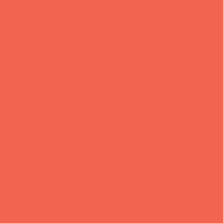 Benjamin Moore Hot Spice (2011-30)
