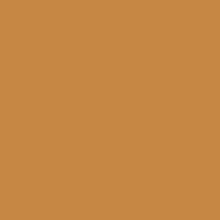 Benjamin Moore Venetian Gold (2158-20)