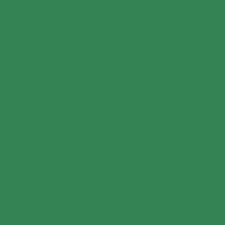Benjamin Moore Nile Green (2035-30)
