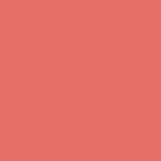 Benjamin Moore Bird of Paradise (1305)