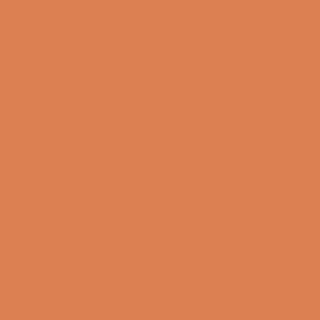 Benjamin Moore Orange Blossom (2168-30)