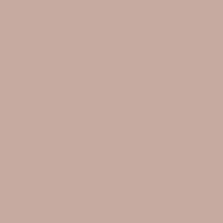 Benjamin Moore Just Beige (2095-50)