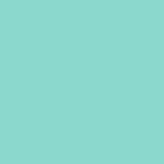 Benjamin Moore Shore House Green (2047-50)