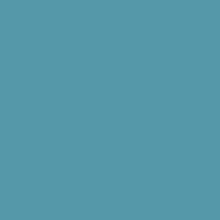 Benjamin Moore Blue Toile (748)