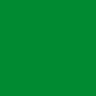 Benjamin Moore Yellow Green (2033-10)