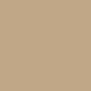 Benjamin Moore Springfield Tan (AC-5)