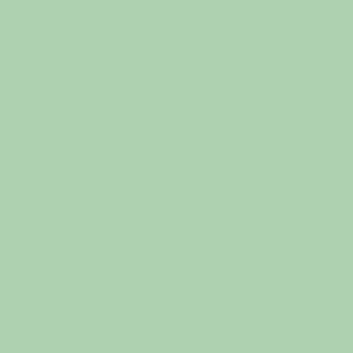 Benjamin Moore Acadia Green (2034-50)