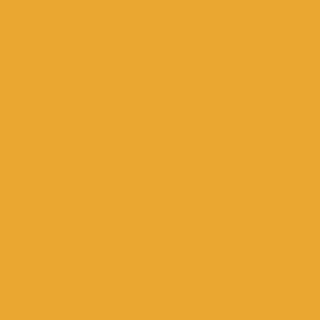 Benjamin Moore Yellow Marigold (2155-30)