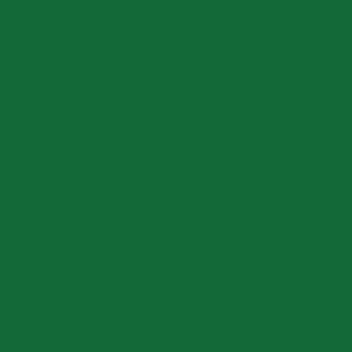 Benjamin Moore Seaweed (2035-10)