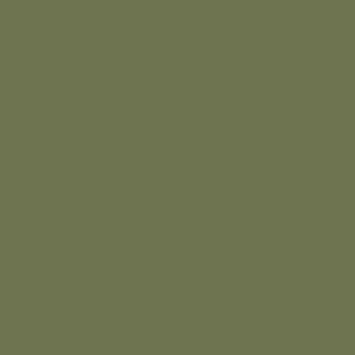 Benjamin Moore Pine Brook (490)