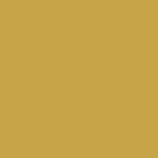 Benjamin Moore French Quarter Gold (287)