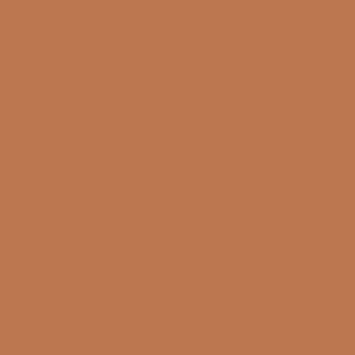 Benjamin Moore Sienna Clay (104)