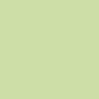 Benjamin Moore Potpourri Green (2029-50)
