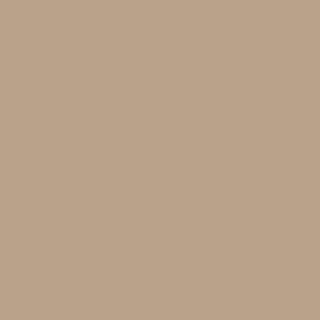 Benjamin Moore Interlude (AF-135)