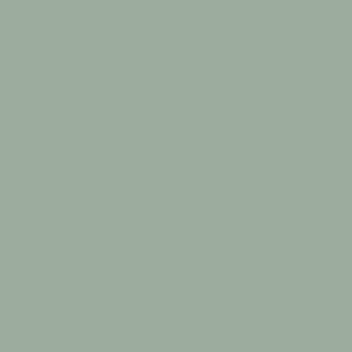 Benjamin Moore Scenic Drive (CC-758)