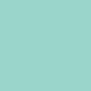 Benjamin Moore Sea Mist Green (2041-50)