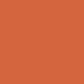 Benjamin Moore Orange Parrot (2169-20)