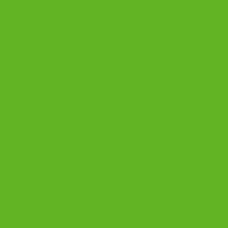 Benjamin Moore Paradise Green (2031-20)