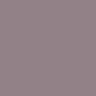 Benjamin Moore Frozen in Time (1448)