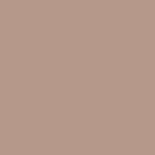 Benjamin Moore Baywood Brown (1234)