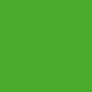 Benjamin Moore Tropical Seaweed Green (2030-20)