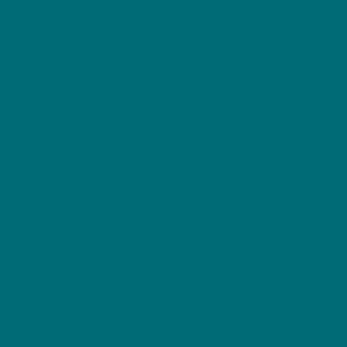 Benjamin Moore Venezuelan Sea (2054-30)