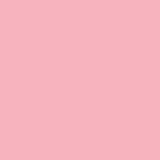 Benjamin Moore Confetti (1311)
