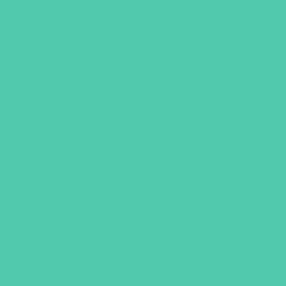 Benjamin Moore St. Patty's Day (614)