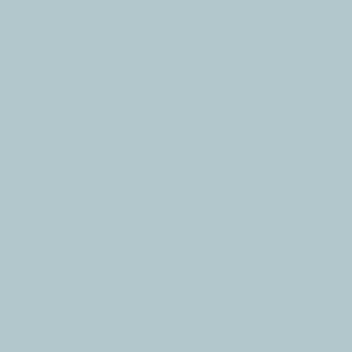 Benjamin Moore Blue Porcelain (1641)