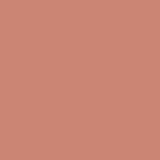 Benjamin Moore Peaches 'n Cream (040)