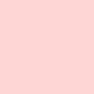 Benjamin Moore Little Piggy (2008-60)