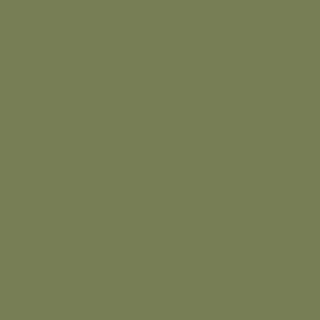 Benjamin Moore Oak Grove (489)