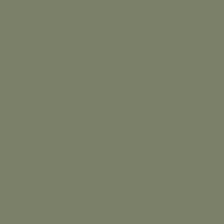 Benjamin Moore Mossy Oak (CC-600)