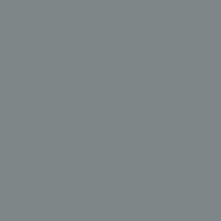 Benjamin Moore Englewood Cliffs (1607)