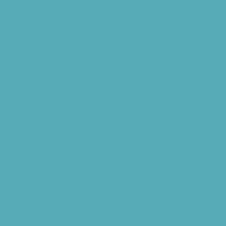 Benjamin Moore Santa Clara (753)