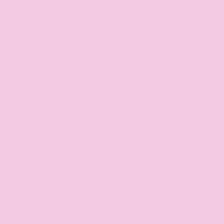 Benjamin Moore Dog's Ear (2076-60)
