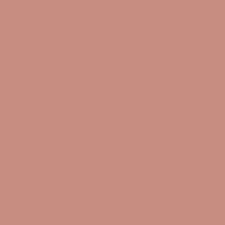 Benjamin Moore Antique Rose (2173-40)