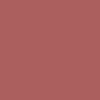 Benjamin Moore Santa Fe Pottery (1287)
