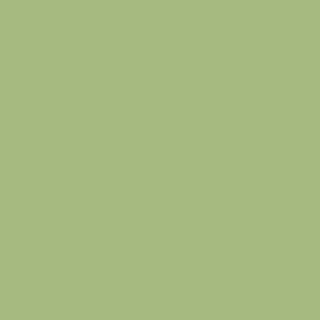 Benjamin Moore Woodland Hills Green (543)