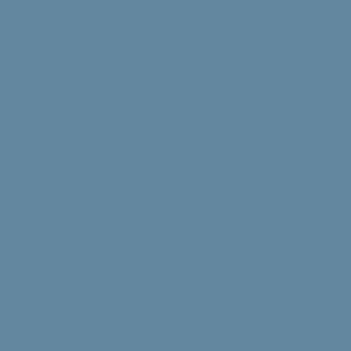 Benjamin Moore Blue Nose (1678)