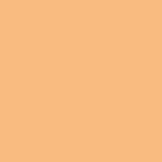Benjamin Moore Seville Oranges (131)
