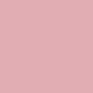 Benjamin Moore Pink Eraser (2005-50)