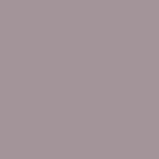 Benjamin Moore Amethyst Sky (1447)