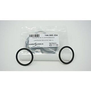Sames-Kremlin Cartridge Seal for 10-14, 10 Count - 144.585.354