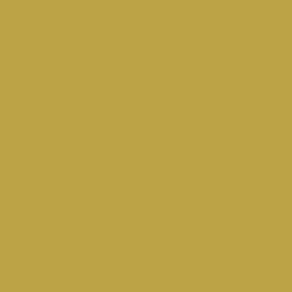 Benjamin Moore Spice Market (CSP-925)