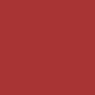 Benjamin Moore Hot Tamale (CSP-1155)