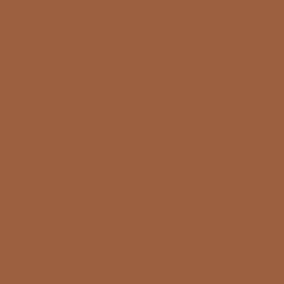 Benjamin Moore Terra Mauve (105)